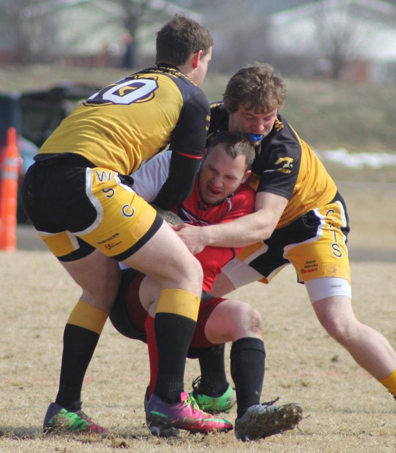 A pair of Wildcat rugby players attack an opposing player with the ball in last weekend’s Battle on the Nebraska Prairie. Wayne State lost in the finals to New Mexico 20-17.