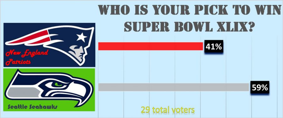 Super Bowl XLIX: Who You Got?
