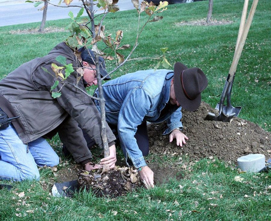 Bill Jammers and Dean Jacobs plant the Swamp White Oak tree in memory of Nelsen Mandela. The tree is located near the northwest corner of the Kanter Student Center.