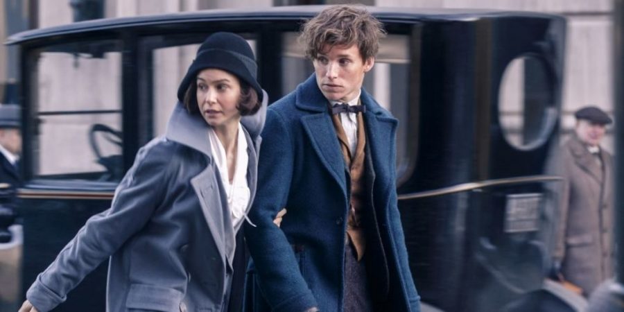 “Fantastic Beasts and Where to Find Them” came out Nov. 18. It stars Eddie Redmayne and Katherine Waterston.