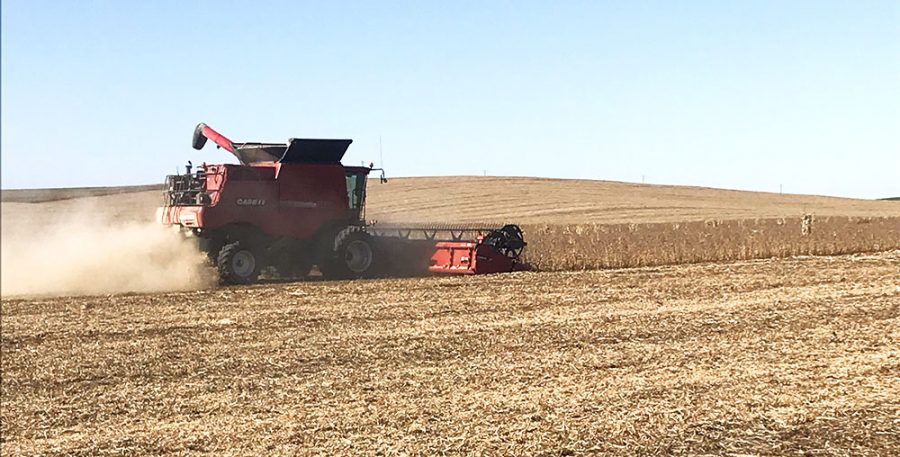 Local farmers and others in Wayne-area agriculture are feeling the burden of the retaliation from President Trump’s tariffs on imported metal. Both grain and livestock markets in Northeast Nebraska were affected. 