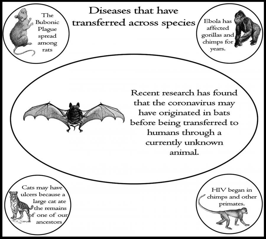 Novel Coronavirus continues to spread