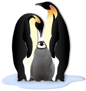 Penguins have us beat as romantic partners, parents