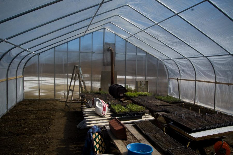 %E2%80%9CGreenhouse+Interior%E2%80%9D%E2%80%AFby+bert_m_b%E2%80%AFis+licensed+with+CC+BY+2.0.+To+view+a+copy+of+this+license%2C+visit+https%3A%2F%2Fcreativecommons.org%2Flicenses%2Fby%2F2.0%2F