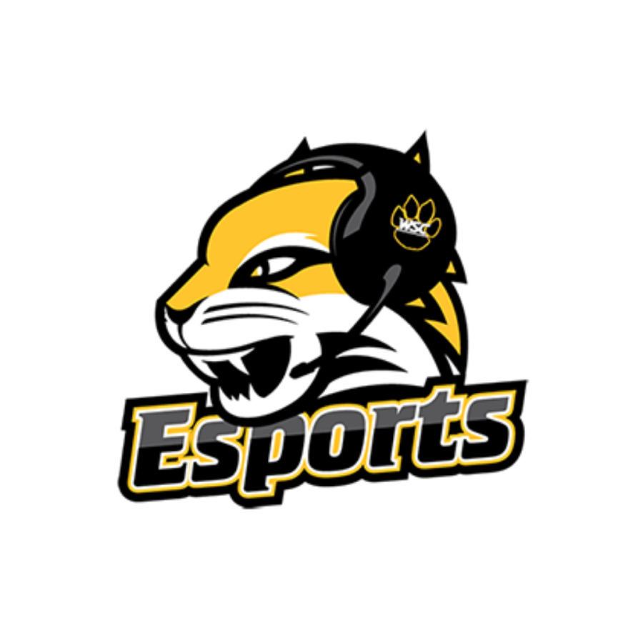 Esports at WSC continues to thrive