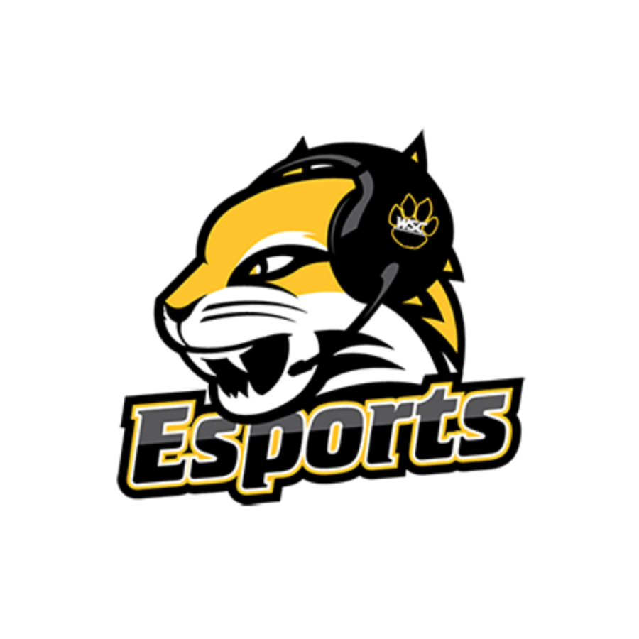 Image from https://www.wsc.edu/esports