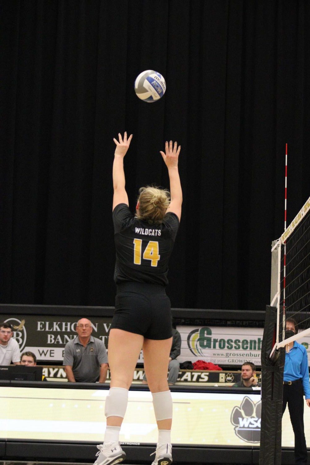 Photos%3A+WSC+volleyball+wins+against+Minnesota+Duluth