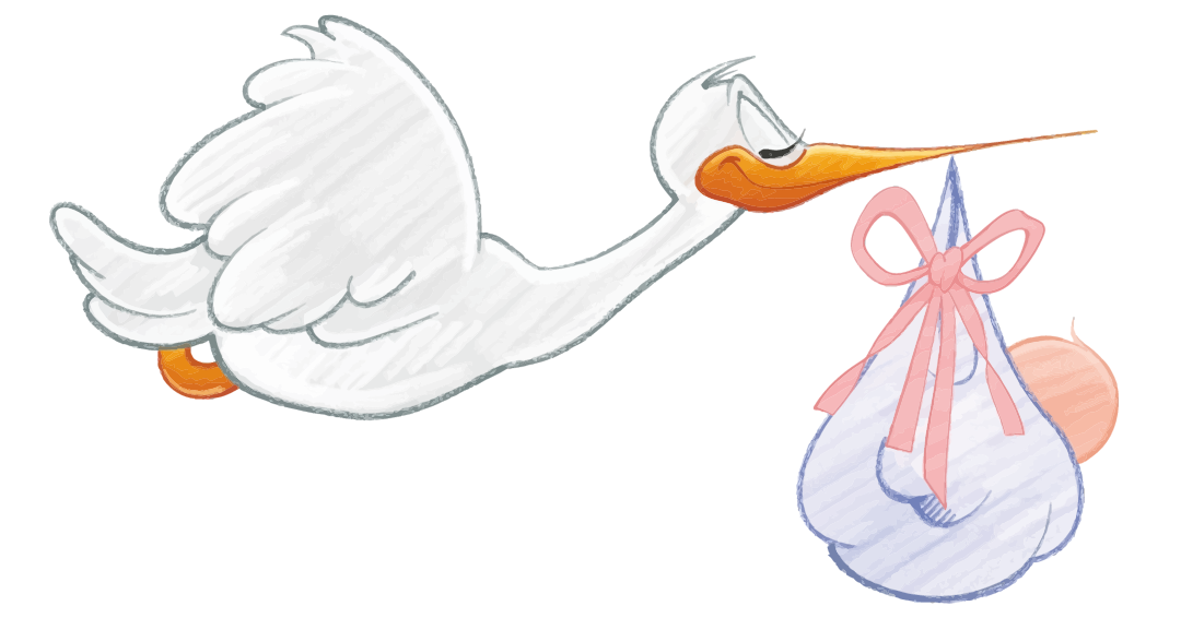 stork clipart boy watching