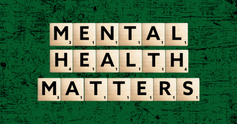 Mental health is health. You can the Student Health and Counseling Center online at https://www.wsc.edu/counseling-center.