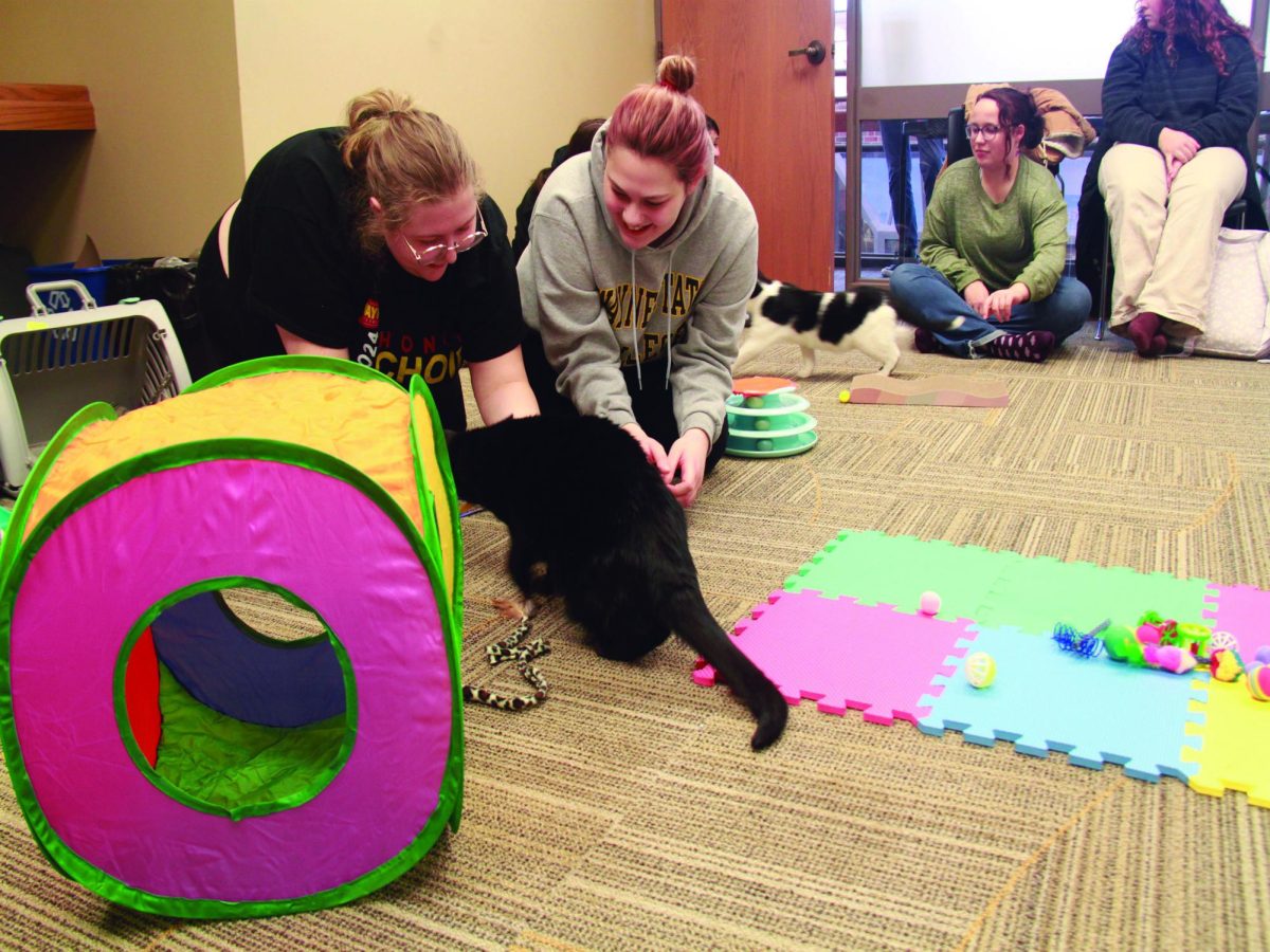 WSC students Lauren McWhirter and Caroline Stock pet Luna at the Cat Cafe.