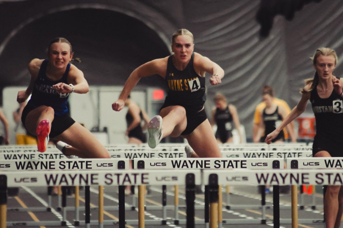 Breylee Botts